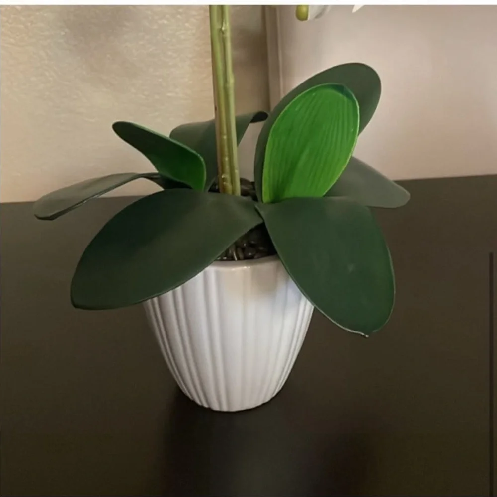 NWOT artificial white orchid in Ribbed Pot - Picture 5 of 7